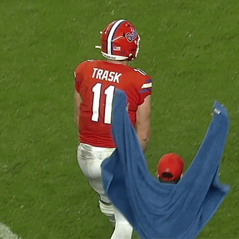 Happy Pumped Up GIF by Florida Gators