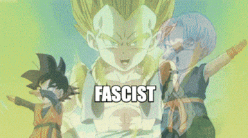 Dragon Ball Z gif. Goten with the label of "Viewer" and Trunks with the label of the Fox News logo rhythmically move into frame and point to one another before light bursts from their connection. The camera then pans up to reveal a triumphant-looking Gotenks, hands on hips, with the label "Fascist."