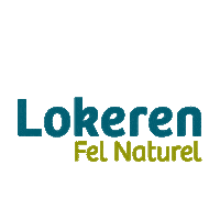 StadLokeren logo lokeren stadlokeren 9160 Sticker