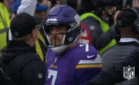 Minnesota Vikings Football GIF by NFL