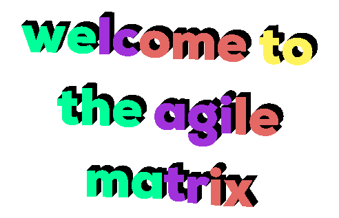 Agile Matrix Sticker by Alex Anderson