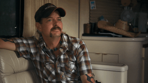 Big Cat Money GIF by NETFLIX