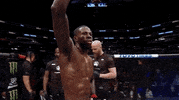 Mixed Martial Arts Fighting GIF by UFC