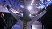 Mixed Martial Arts Sport GIF by UFC