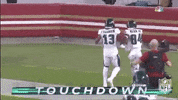 Regular Season Football GIF by NFL