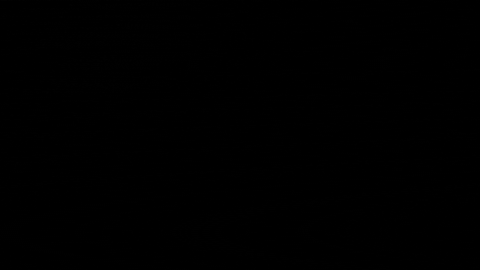 Music Video Dance GIF by Stoned Hare