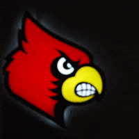 University Of Louisville GIF by Louisville Cardinals