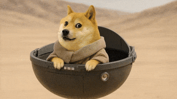 Star Wars Doge GIF by LitVM