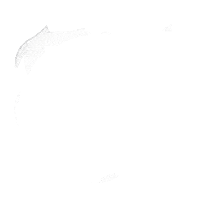 Las Vegas Text Sticker by Second Best Collective