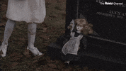 50 States Of Fright GIF by The Roku Channel