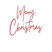 Sophieschoicest christmas instagram holiday winter Sticker