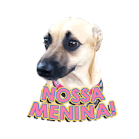 Felicidade Presta Atencao Sticker by Agencia Infuse