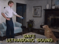 Dog 80S GIF