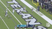 Houston Texans Football GIF by NFL
