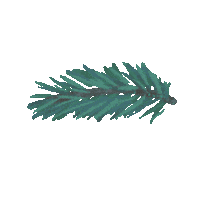 Winter Plant Sticker