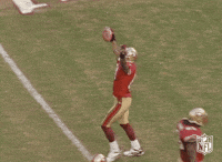 San Francisco 49Ers Football GIF by NFL