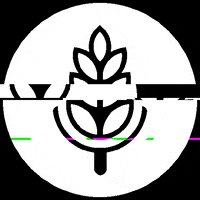 baospodcast logo glitch beer podcast GIF