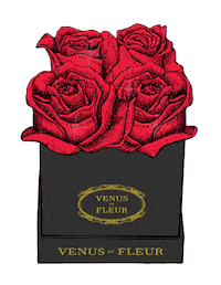 Valentines Day Love Sticker by Venus ET Fleur