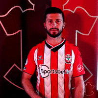 Premierleague GIF by Southampton FC