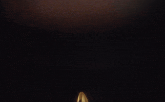 Bayer 04 Bundesliga GIF by Bayer 04 Leverkusen