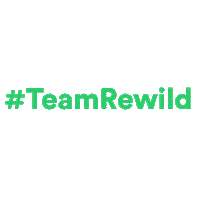 Rewild Thats Wild Sticker by Global Wildlife Conservation