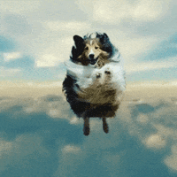 GIF by SplatMag