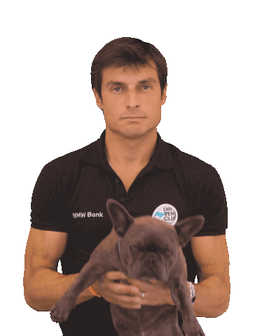 bmwbankdriversclub frenchie frenchbulldog nala lionking Sticker