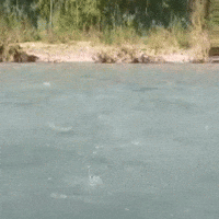 Rafting Raft GIF by philoyolo
