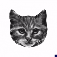 black and white art GIF by The New Big Poppa E