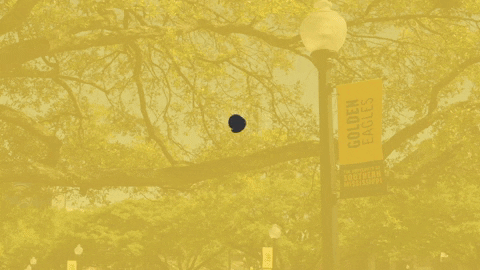 GIF by College of Arts and Sciences