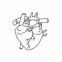 ScarlettMinz rage passion beating heart passionate GIF