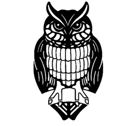 schmincke_official giphyupload blink owl watercolor GIF