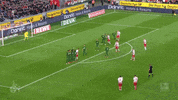 milos jojic football GIF by 1. FC Köln