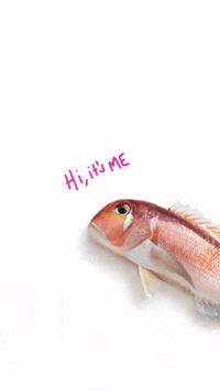 zairyo zairyosg zairyo GIF