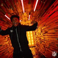 Yell National Football League GIF by NFL