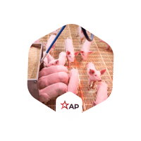 Ap Sticker by GSI Brasil