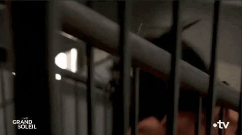 Fall Ines GIF by Un si grand soleil