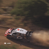 Driving Fast Car GIF by FIA World Rally Championship