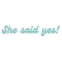 Say Yes To The Dress Wedding Sticker by whitemagnoliabridal