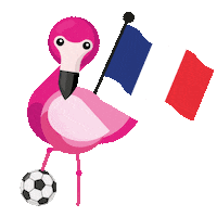France Football Sticker by lastminute.com
