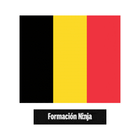 Belgium Flag Sticker by Formación Ninja
