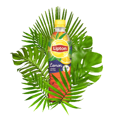 LiptonRomania fun cool summer beach Sticker