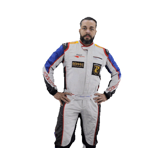 Dc Driver Sticker by Porsche GT3 Cup Brasil