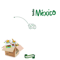 Mexico Envios Sticker by PromanuezMX