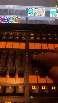 Gold Miami GIF by Nova Sound