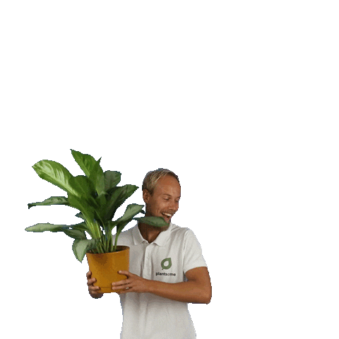 plantsome happy dance smile yay Sticker