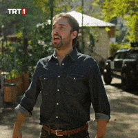 Dizi Kahkaha GIF by TRT