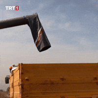 Work Trailer GIF by TRT