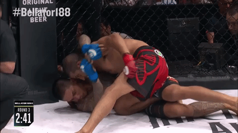 GIF by Bellator