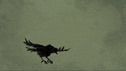 film cinema GIF